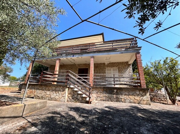 panorama-scouting-H3499-3