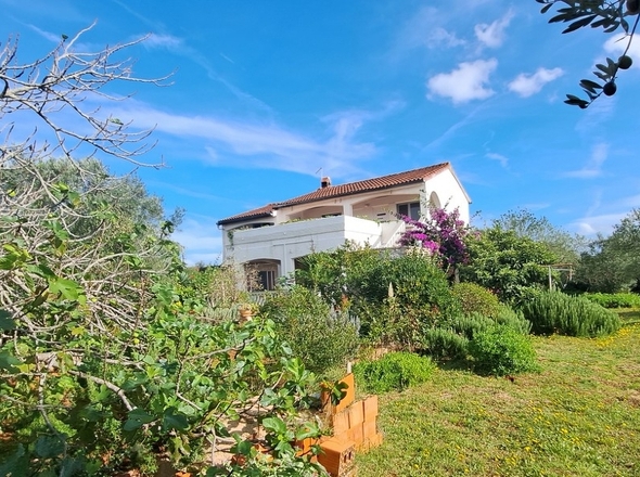 panorama-scouting-H3502-1