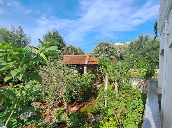 panorama-scouting-H3502-4