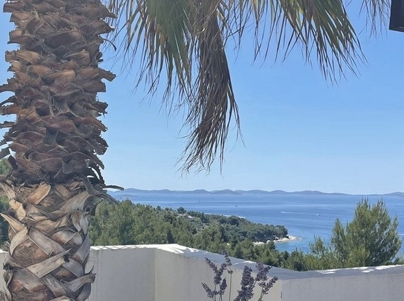 panorama-scouting-A3550-13