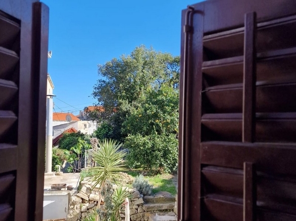 panorama-scouting-H3533-11