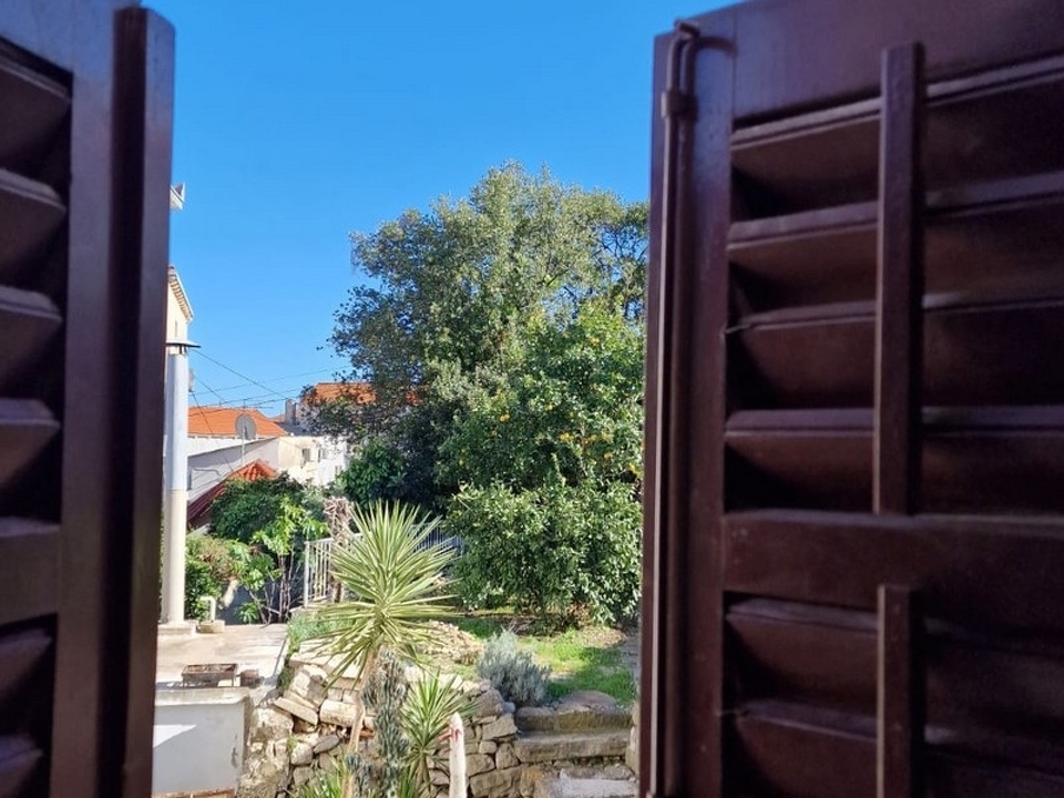 panorama-scouting-H3533-11