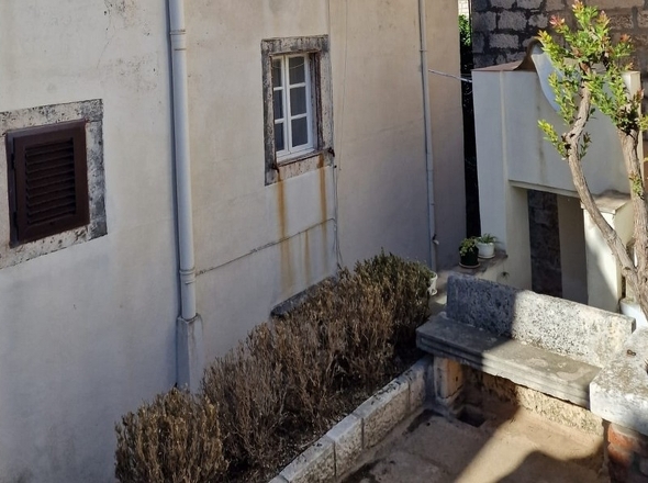 panorama-scouting-H3533-24