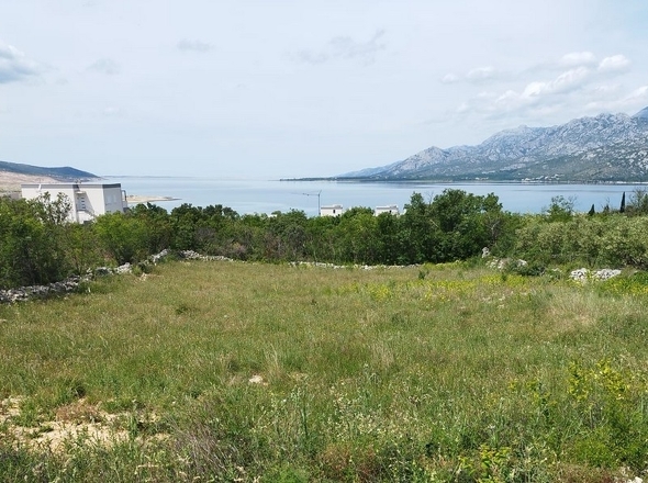 panorama-scouting-G462-5