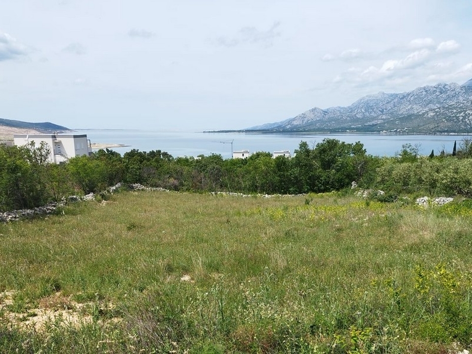 panorama-scouting-G462-5