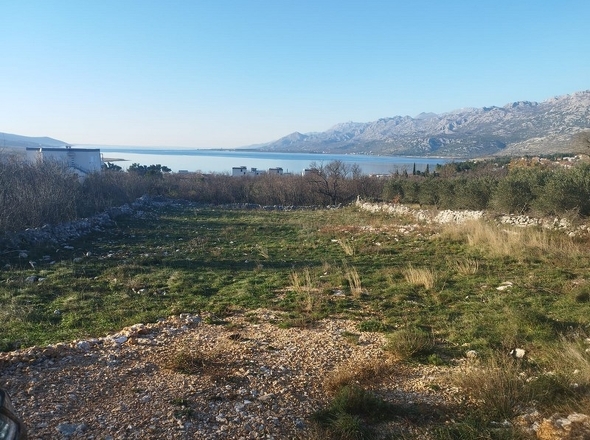 panorama-scouting-G462-3