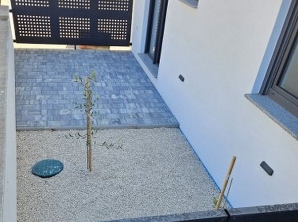 panorama-scouting-A3647-11