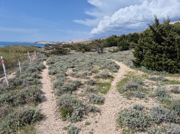 panorama-scouting-G465-5