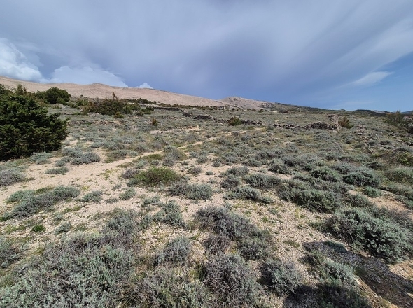 panorama-scouting-G465-7