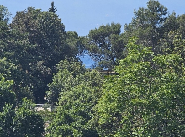 panorama-scouting-A3658-6