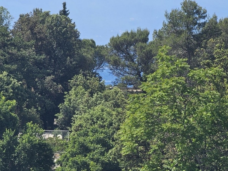 panorama-scouting-A3658-6