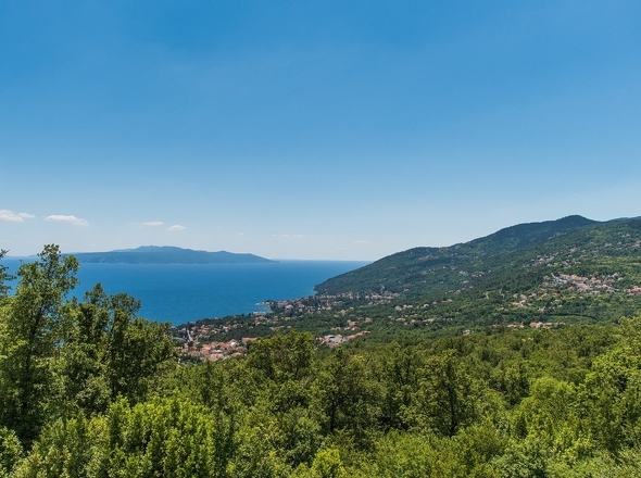 panorama-scouting-H3597-17