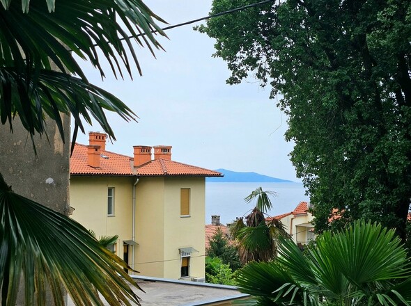 panorama-scouting-A3674-1