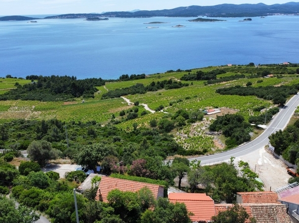 panorama-scouting-H3599-4