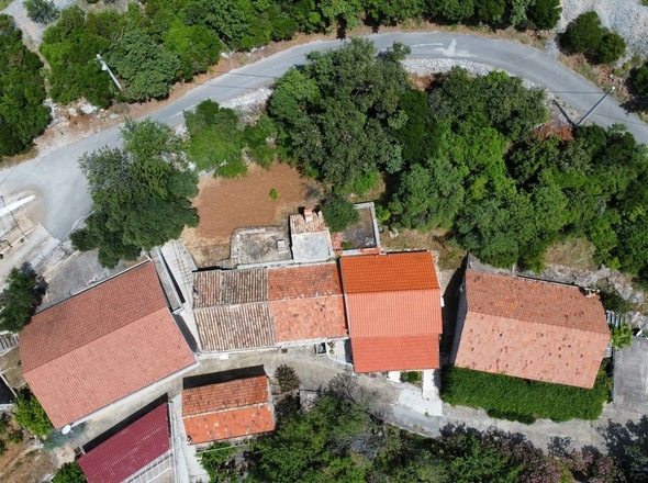 panorama-scouting-H3599-7