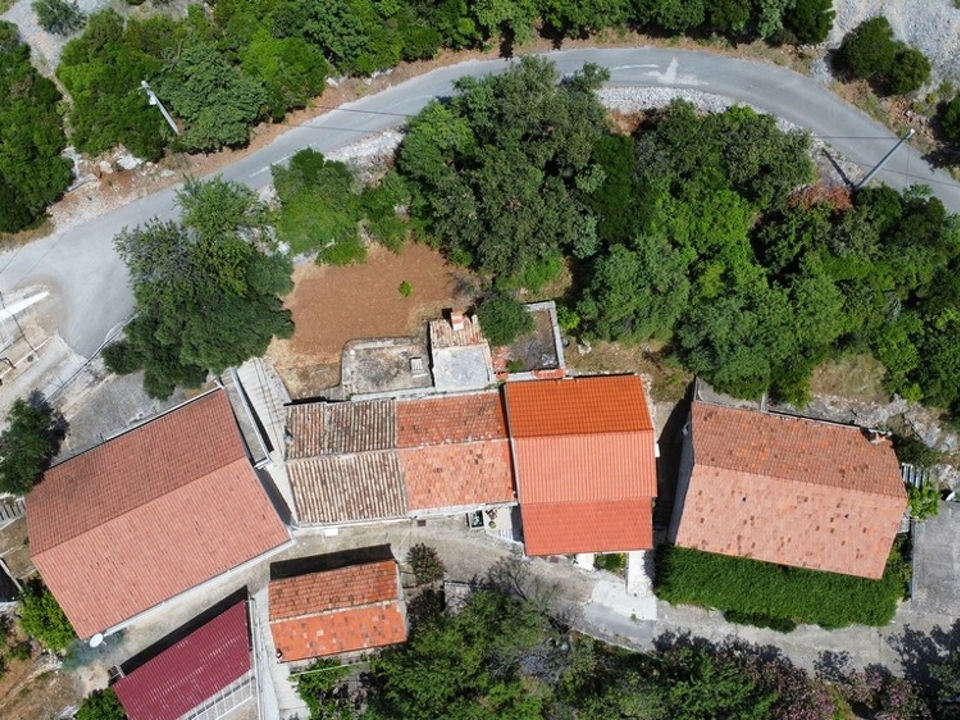 panorama-scouting-H3599-7