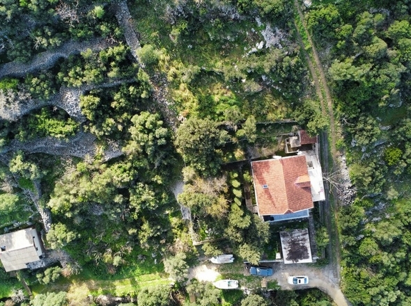 panorama-scouting-G468-10