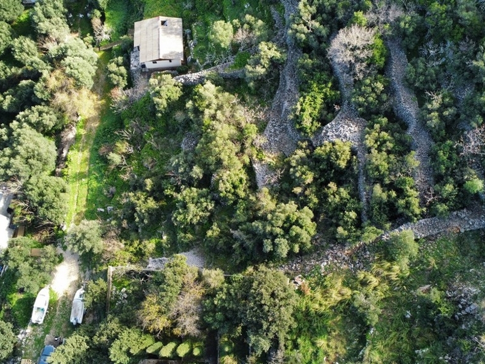 panorama-scouting-G468-11