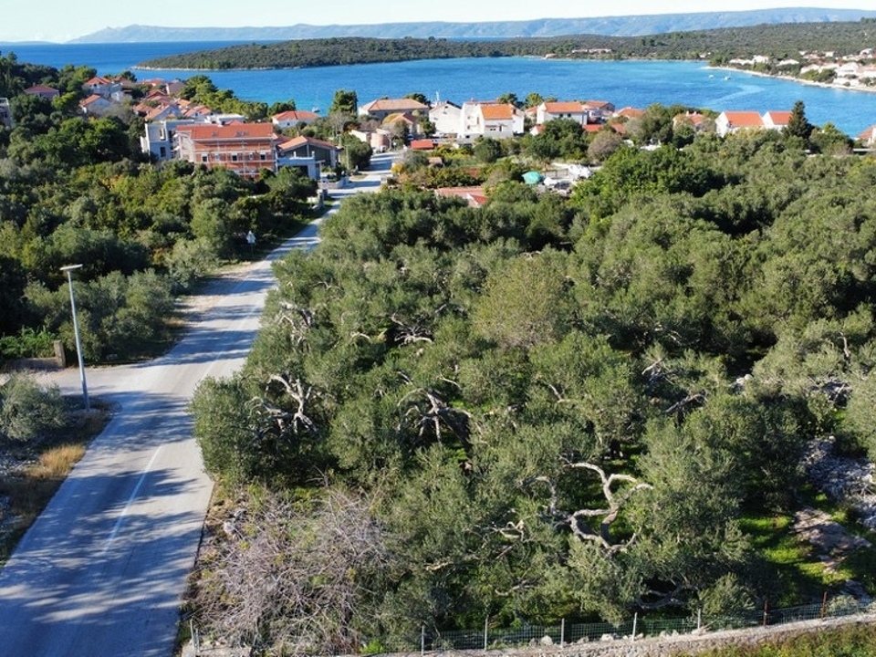 panorama-scouting-G469-9