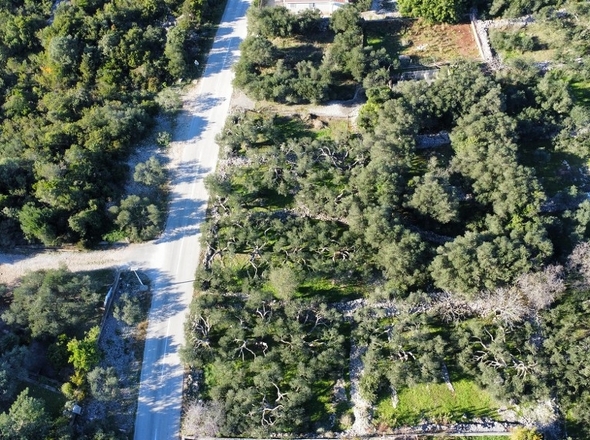 panorama-scouting-G469-3