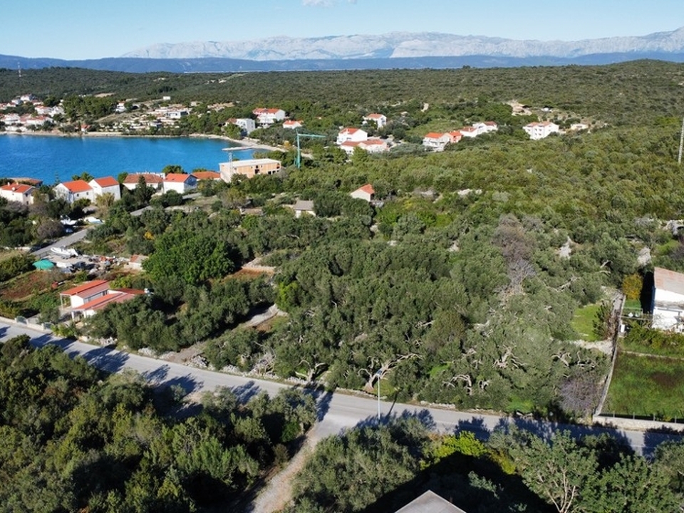 panorama-scouting-G469-7