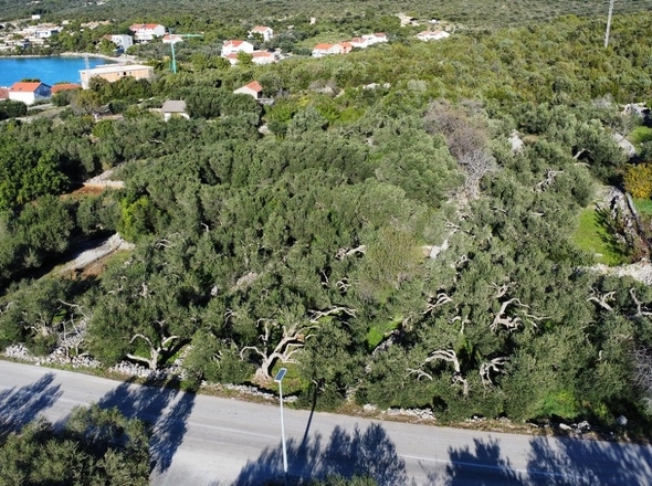 panorama-scouting-G469-8