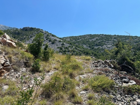 panorama-scouting-G471-8