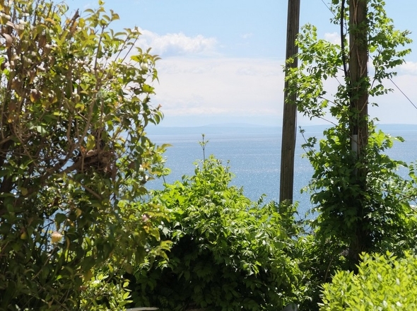 panorama-scouting-A3680-21