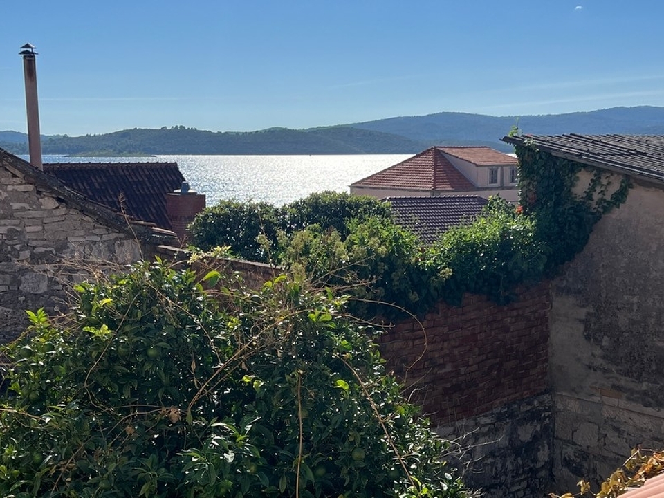 panorama-scouting-H3619-3