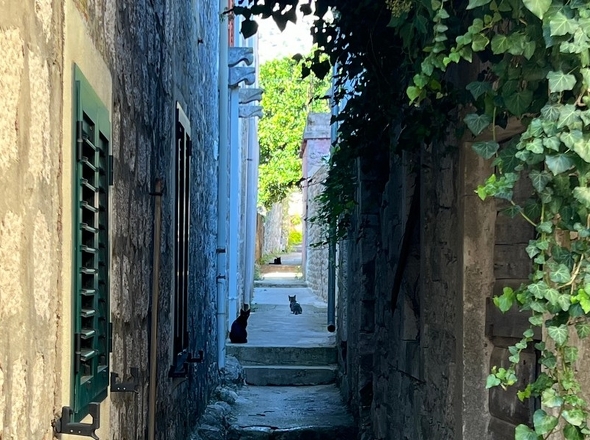 panorama-scouting-H3619-24