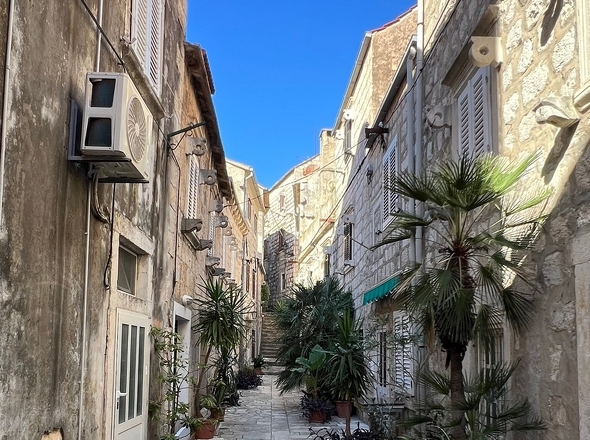 panorama-scouting-H3619-23