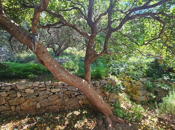 panorama-scouting-H3625-31