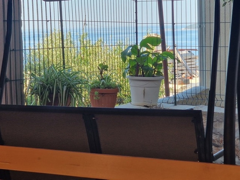 panorama-scouting-H3632-6