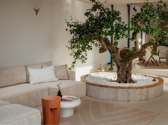 panorama-scouting-H3639-58