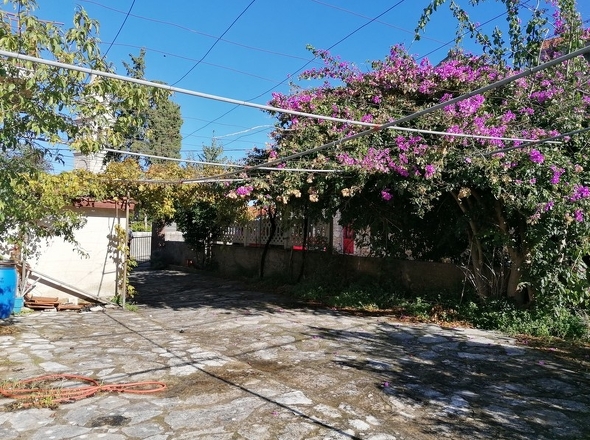 panorama-scouting-H3660-99