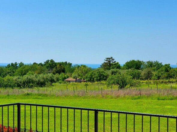 panorama-scouting-H3675-40