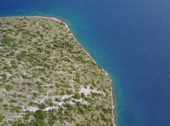 panorama-scouting-G474-1-3