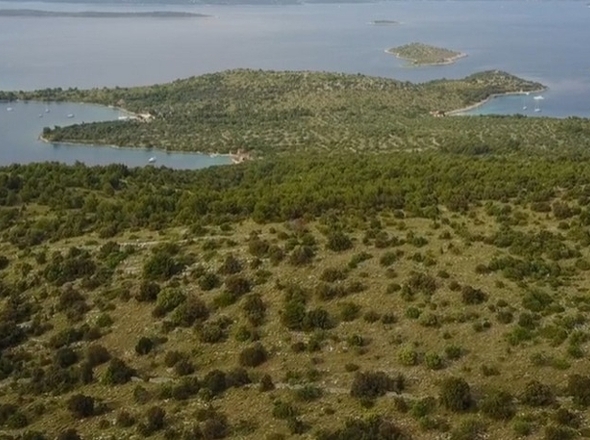 panorama-scouting-G474-1