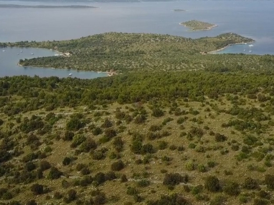 panorama-scouting-G474-1