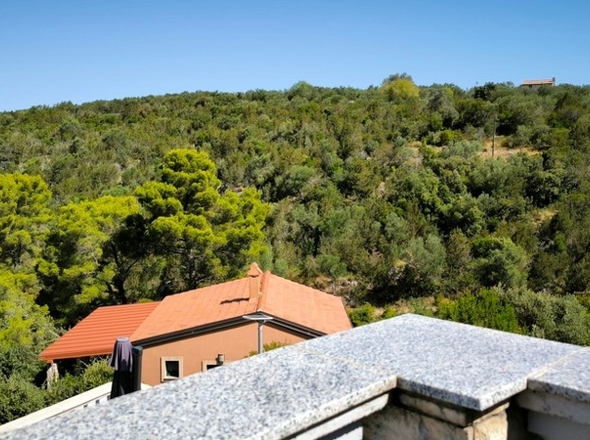 panorama-scouting-H3686-71