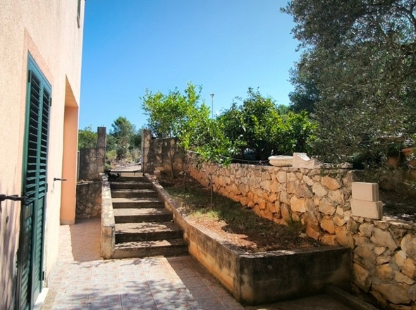 panorama-scouting-H3686-53