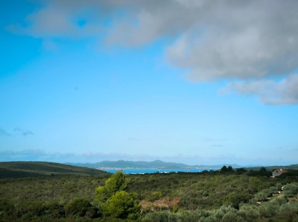 panorama-scouting-H3691-7