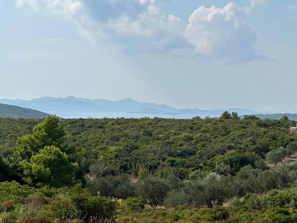 panorama-scouting-H3691-4