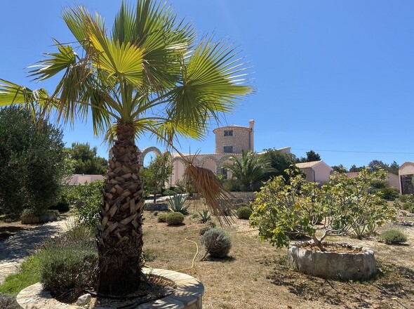 panorama-scouting-H3692-5