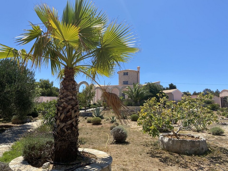 panorama-scouting-H3692-5