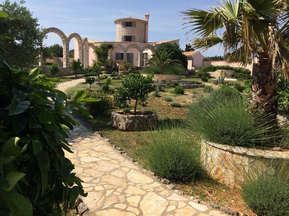 panorama-scouting-H3692-6