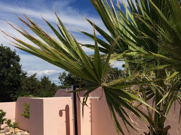 panorama-scouting-H3692-16