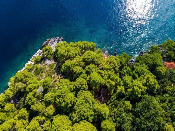 panorama-scouting-H3695-7