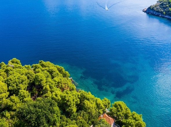 panorama-scouting-H3695-28