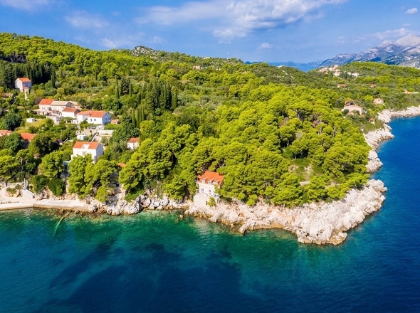 panorama-scouting-H3695-26